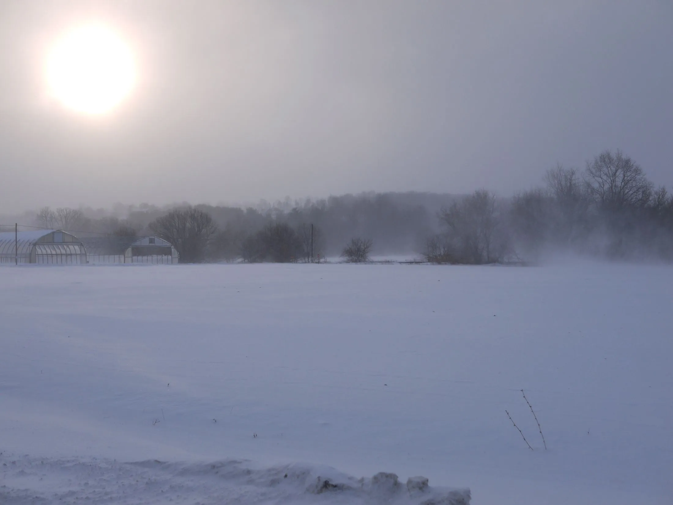 winter