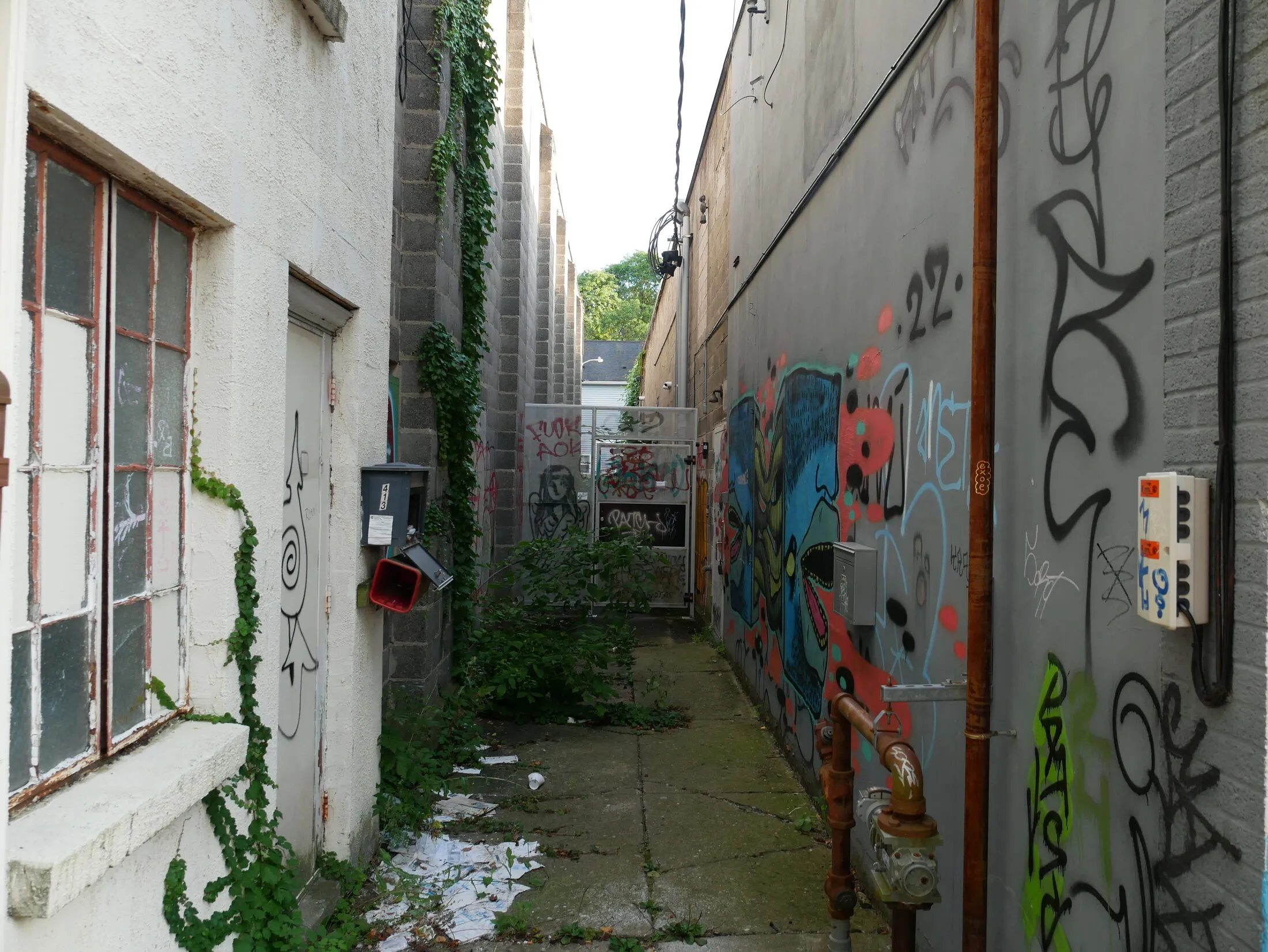 Photo from The American Dream, 2026-09-15 (placeholder alt text: replace with a real description)