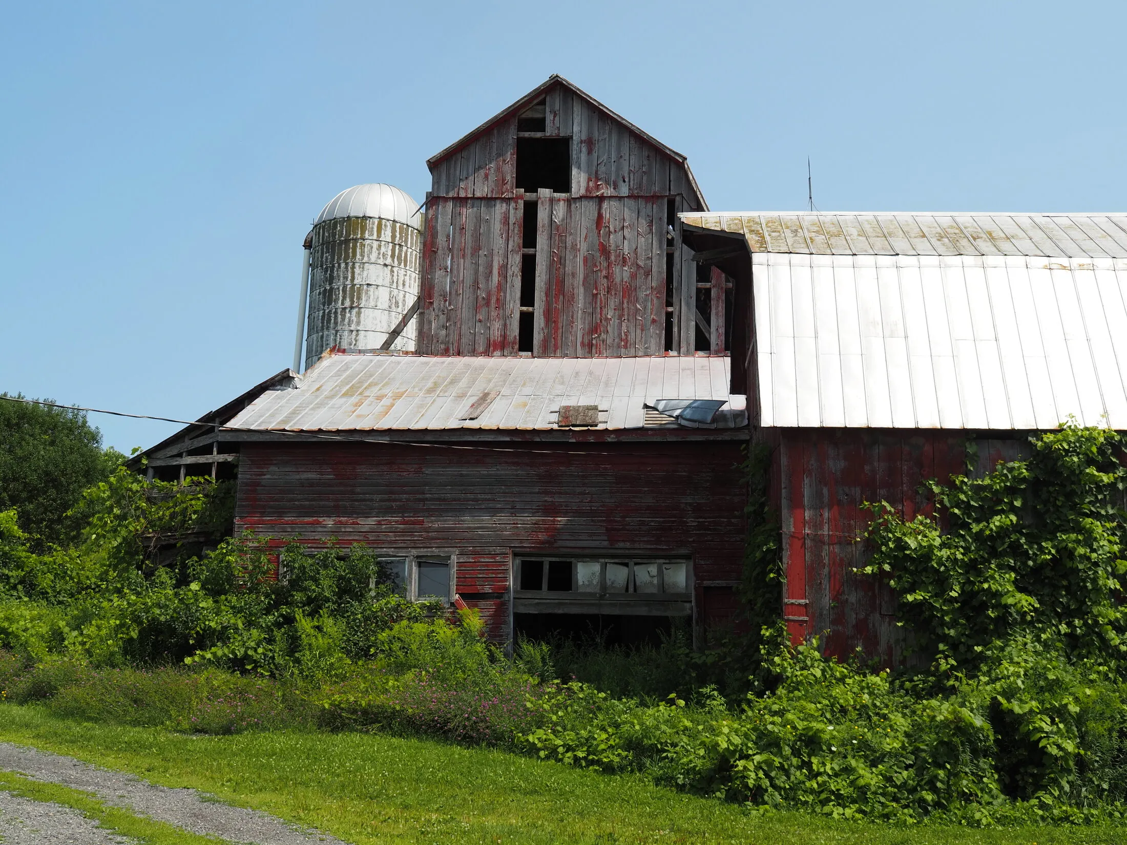 Photo from Red Barns, 2026-08-09 (placeholder alt text: replace with a real description)