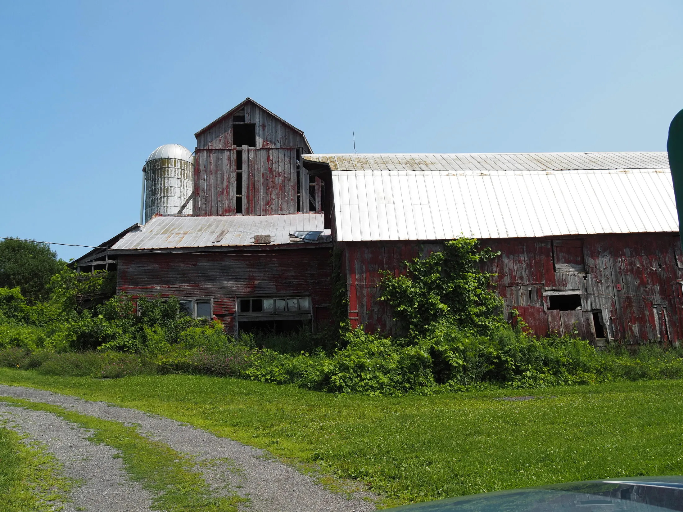 Photo from Red Barns, 2026-08-09 (placeholder alt text: replace with a real description)