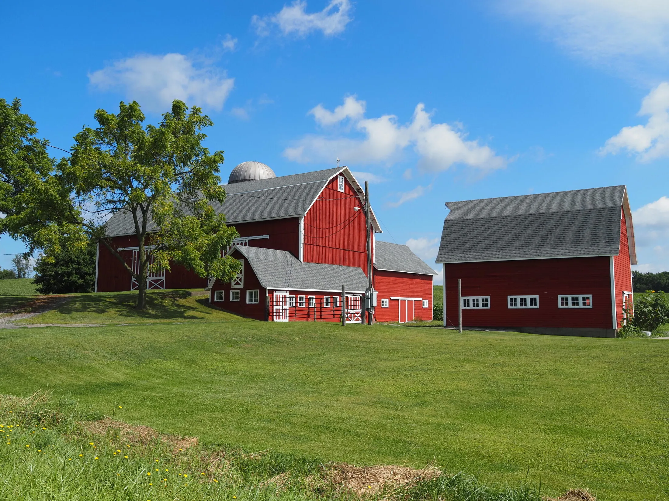 Photo from Red barns on Rt 34 between Ithaca and Jacks Reef, 2026-09-03 (placeholder alt text: replace with a real description)